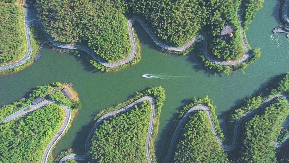 消费金融公司审批政策_邮储银行绿色金融解决方案_邮储银行绿色贷款余额近万亿