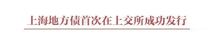 优化债务结构降低资金成本_优化债务结构意义_优化地方债投资者结构