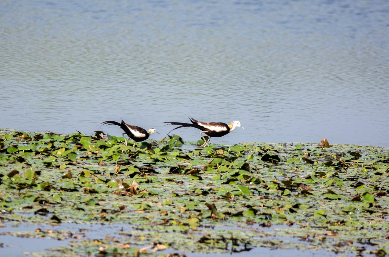 武汉科教人才优势转化_武汉勤奋商贸有限公司怎么样_武汉三大优势转化