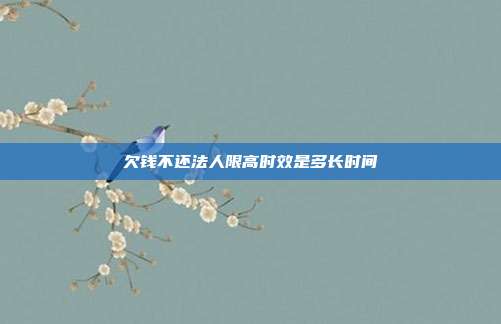 欠钱不还法人限高时效多久？限制高消费规定有哪些？
