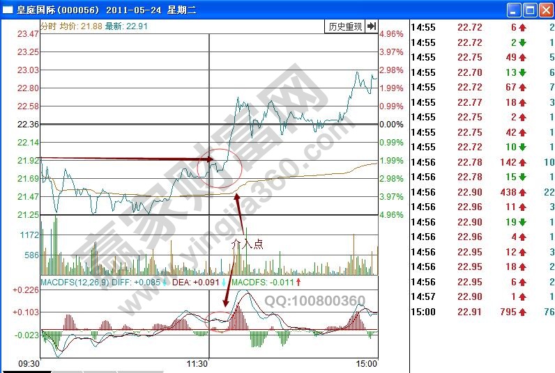 皇庭国际分时图