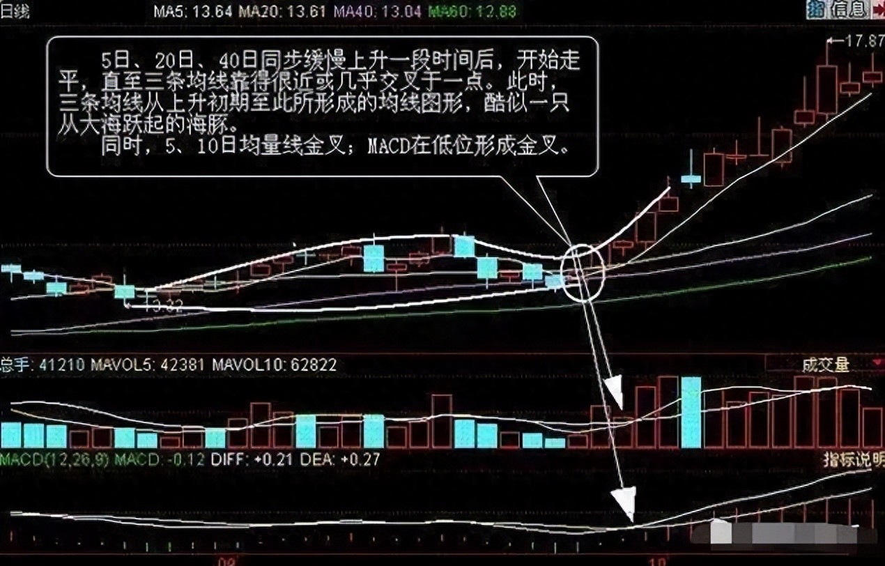 牛股特点及海豚嘴形态解析,还有这些技术要点要知道