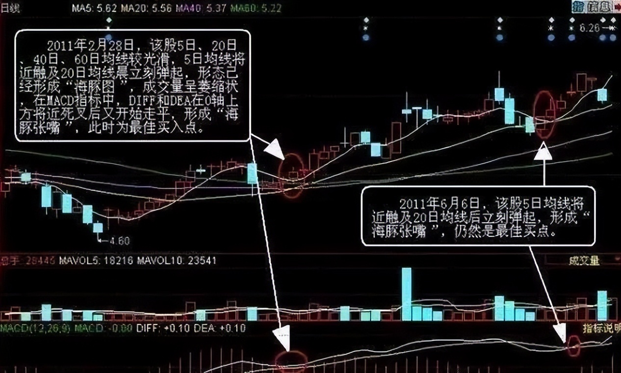 比较好的股票公众号_海豚嘴技术分析_牛股形态