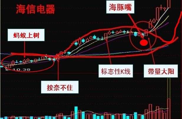 牛股形态_比较好的股票公众号_海豚嘴技术分析