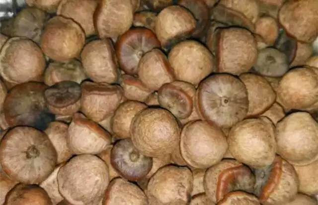 客家野果_客家山野果_山货店要多大投资