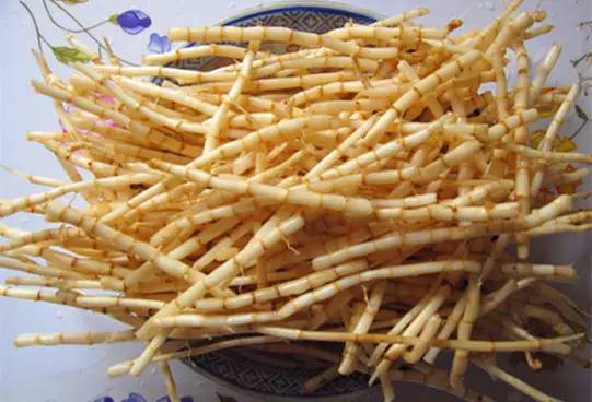 客家野果_山货店要多大投资_客家山野果