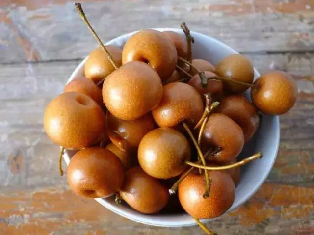 客家野果_山货店要多大投资_客家山野果