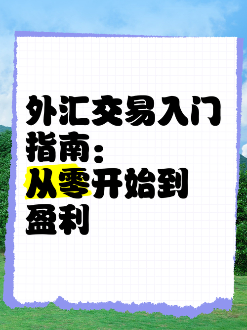新手必看!普通人投资外汇入门指南,超接地气大白话讲解