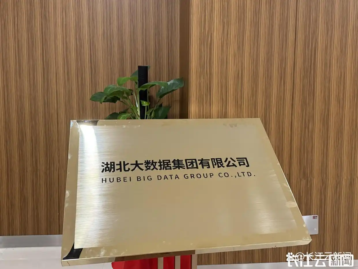 湖北交投集团有限公司董事长级别_湖北大数据集团_湖北省属国企数据集团