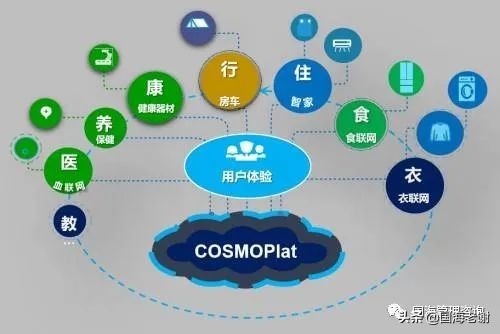 企业战略系统思维_战略定位生态位差异位_非盈利公司的平衡计分卡