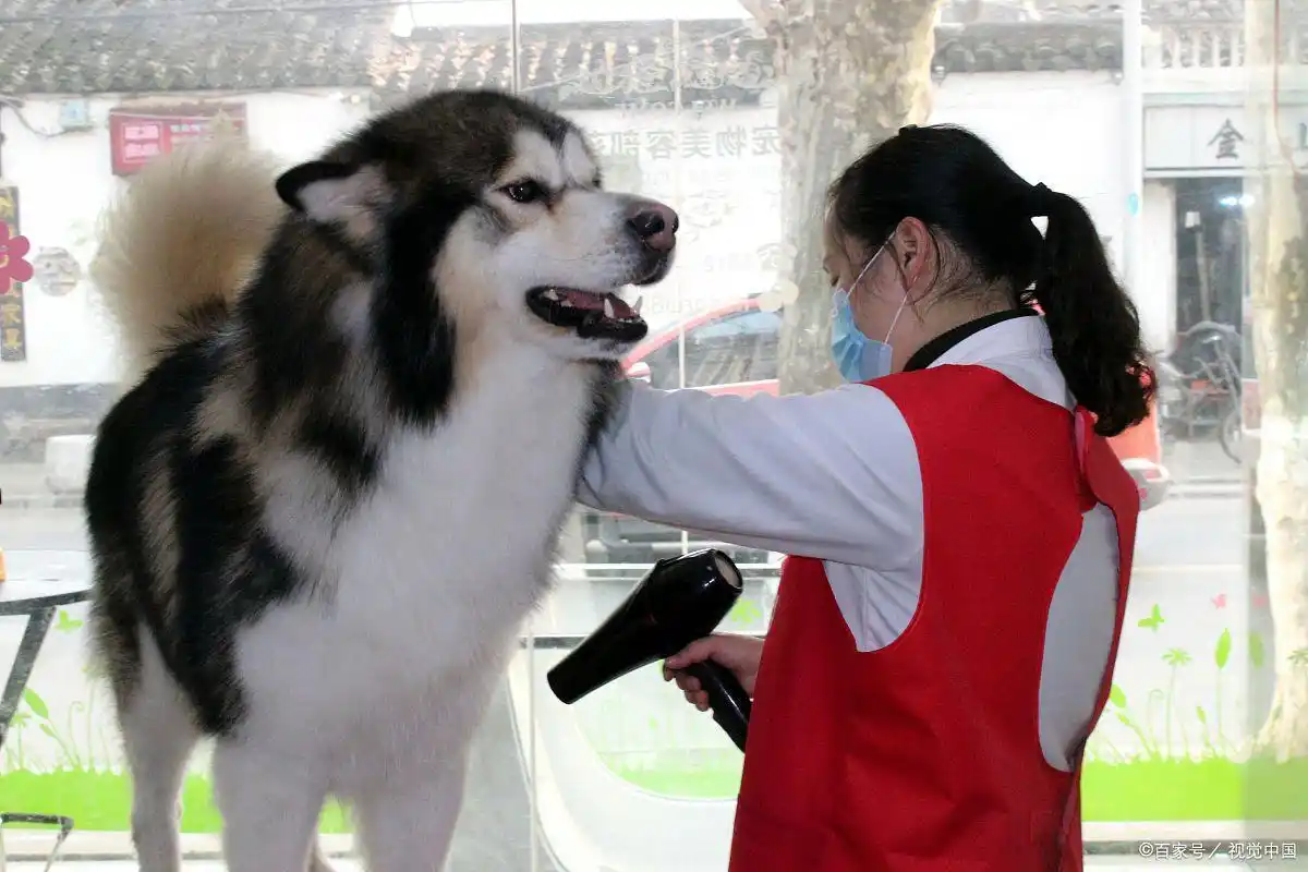现在什么小本生意好做_小本生意赚钱方法_低投入稳赚项目推荐