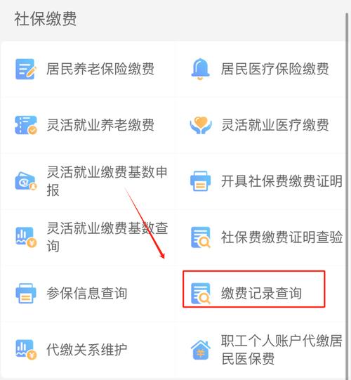 郑州医保查询个人账户_支付宝查询河南居民医保缴费记录_2025河南居民医保缴费记录查询办法