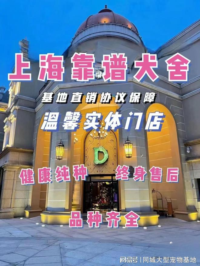 上海来福乐猫犬舍_闵行区宠物店_上海比较有名的猫舍
