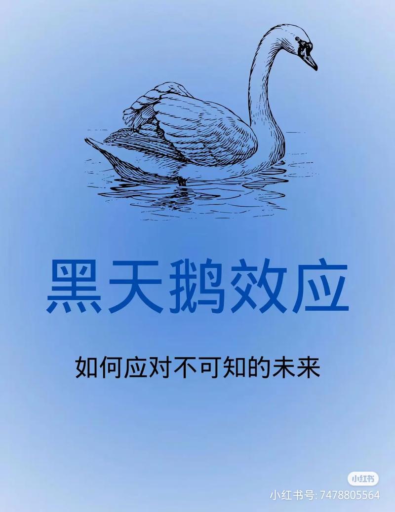 读黑天鹅有感，铭记投资启示与应对黑天鹅原则