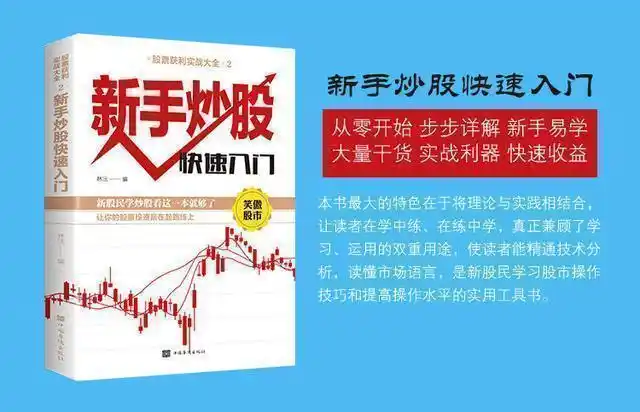 投资市场亏损规律_股票交易概率游戏_股票周线月线图怎么看
