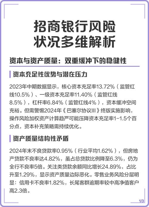 银行违规放贷的举报材料_监管偏差利益驱动_银行违规放贷制度漏洞