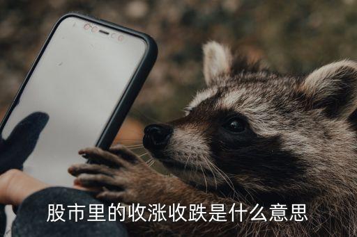股市里的收涨收跌是什么意思