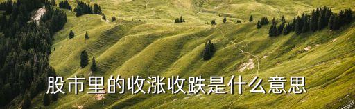股市里的收涨收跌是什么意思
