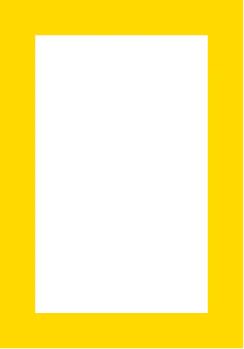 家猫的祖先其实起源于北非，罗马军团是最早的“货物大师”？