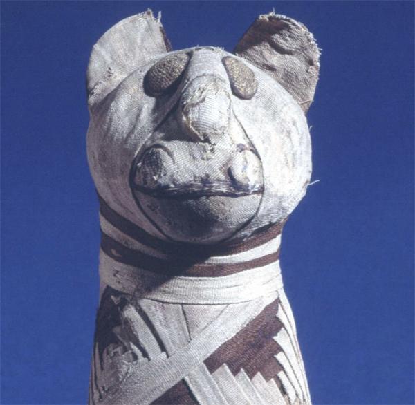 古埃及猫壁画_埃及猫可以带回中国吗_古埃及猫文化