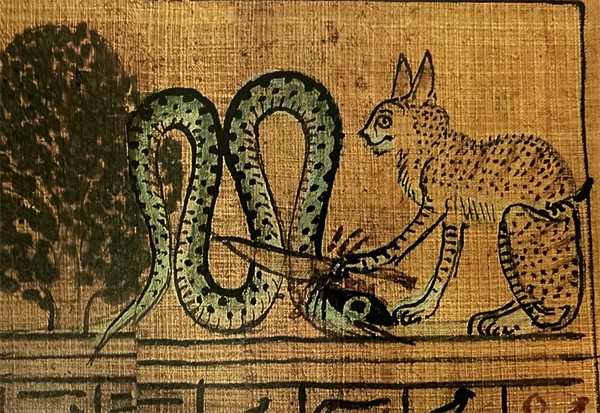 埃及猫可以带回中国吗_古埃及猫文化_古埃及猫壁画