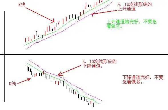寻金买卖点:股票最佳买卖时机实战技法_鳄鱼法则断臂_股市性格锻炼
