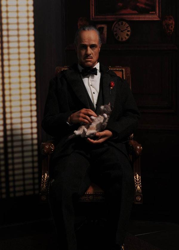 埃及猫可以带回中国吗_鲁迅不喜欢猫_古代猫咪文化