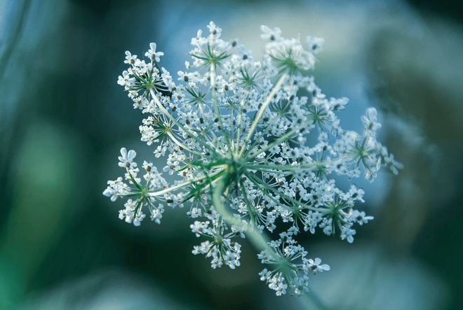 实值认沽期权在到期时投资者_到期者期权实值投资认沽计算_期权到期日价值可以为负数么