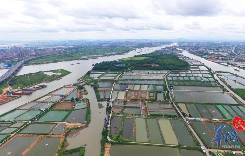 乡村振兴机遇多，水产养殖致富路，选甲肴水产开启财富大门