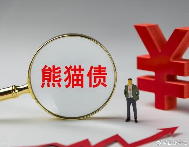 熊猫债券是指国际多边金融机构在_熊猫债发行规模增长_熊猫债主体多元化品种创新