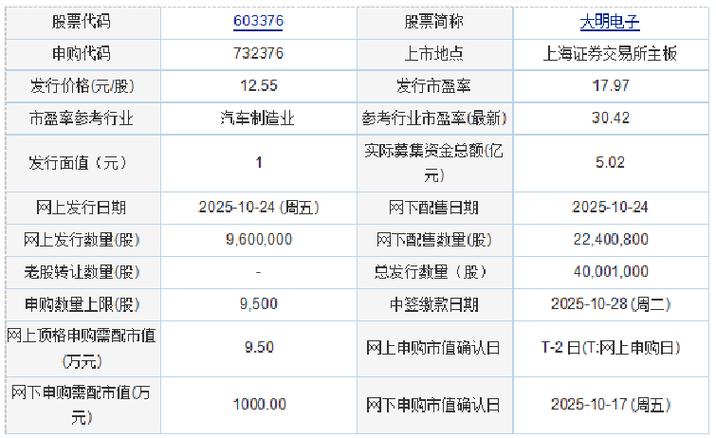 大明电子股份有限公司募集资金置换预先投入资金相关情况