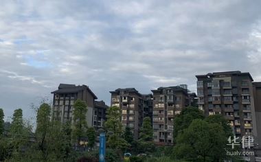 担保的概念与分类解析，关乎特定债权人债权实现
