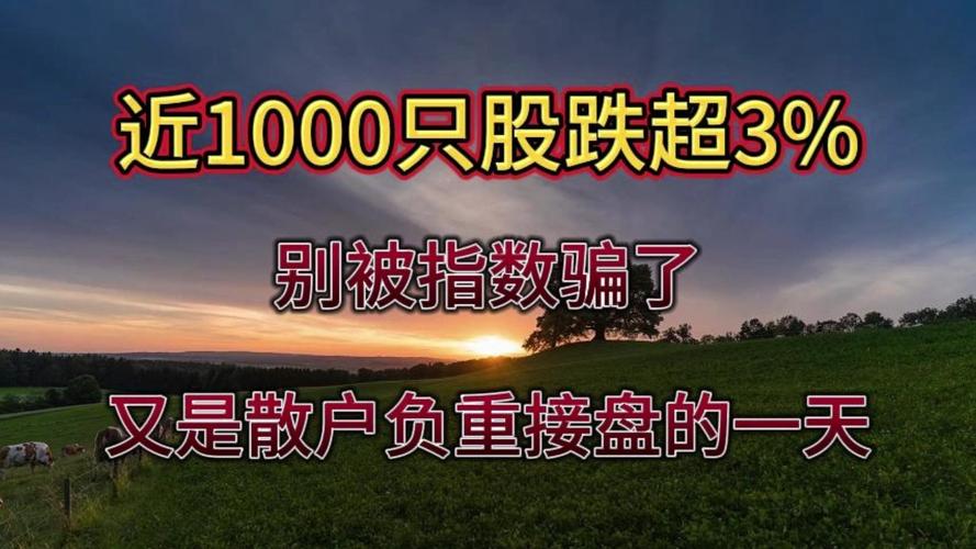 浙大网新股票分析_浙大网新股票行情_浙大网新资金流向解读
