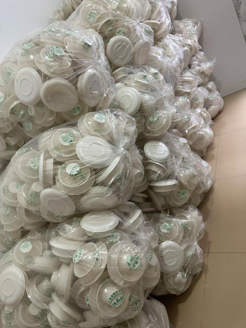 2026创业好项目投资小利润大_一次性餐具销售_小本创业项目