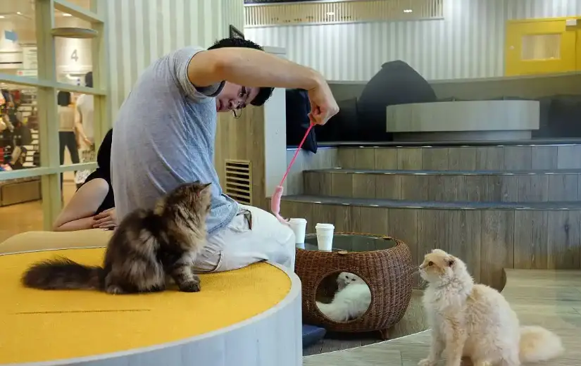 现在零元的好的挣钱方法_2026最建议做的生意_低门槛高回报小生意