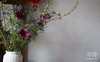 注册个人公司资金认缴实缴区别及责任说明